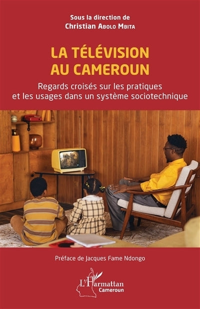 télévision au Cameroun (La)