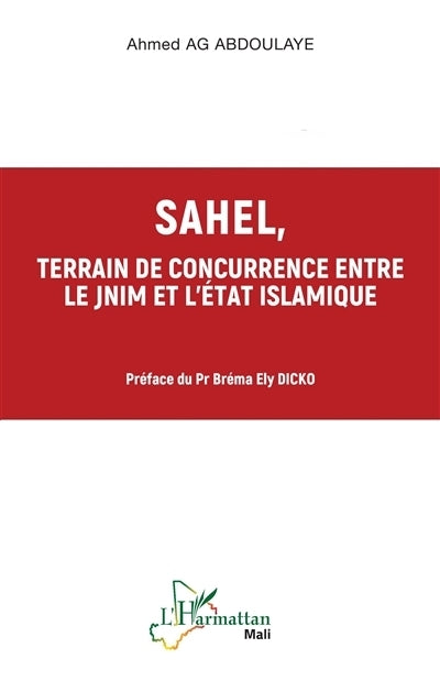 Sahel, terrain de concurrence entre le JNIM et l'Etat islamique