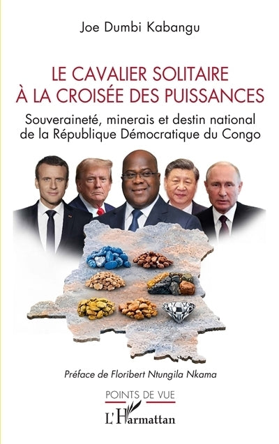 cavalier solitaire à la croisée des puissances (Le)