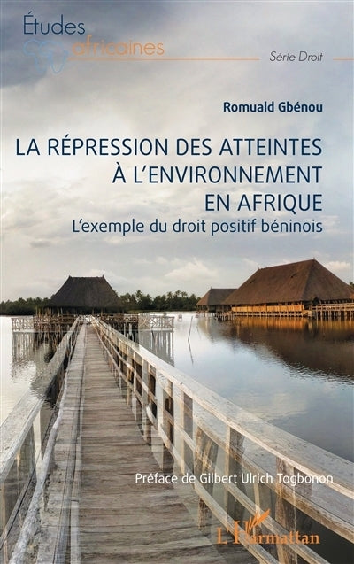 répression des atteintes à l'environnement en Afrique (La)