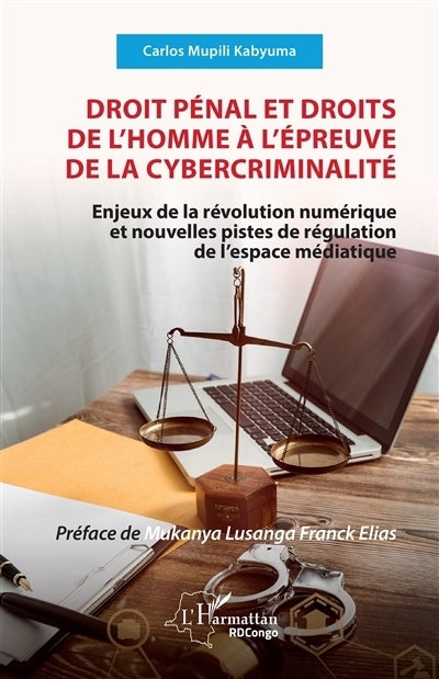 Droit pénal et droits de l'homme à l'épreuve de la cybercriminalité