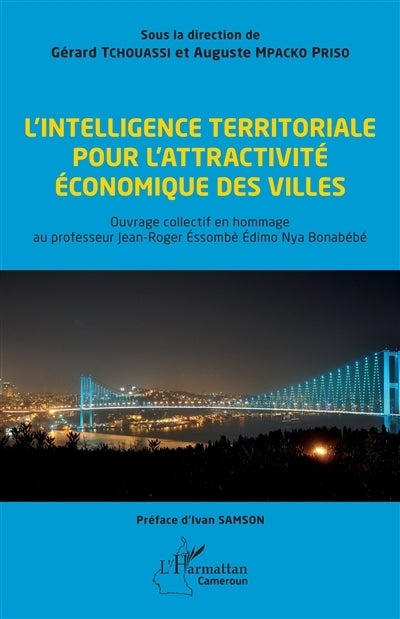 intelligence territoriale pour l'attractivité économique des villes (L')