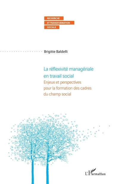 réflexivité managériale en travail social (La)